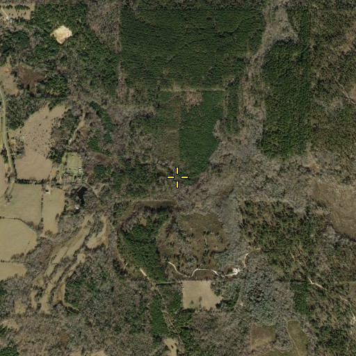 Aerial/Satellite Image of Couller Creek, TX