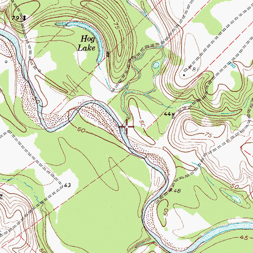 Topographic Map of Court Branch, TX