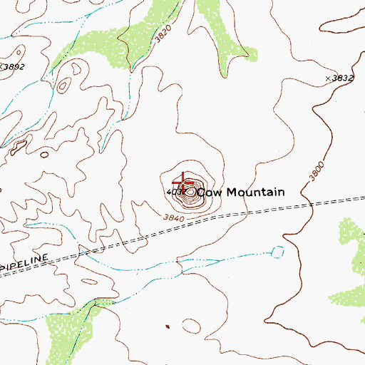 Topographic Map of Cow Mountain, TX