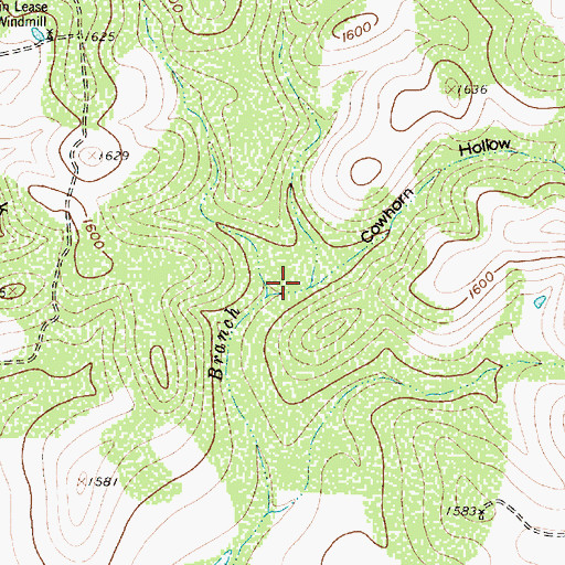 Topographic Map of Cowhorn Hollow, TX