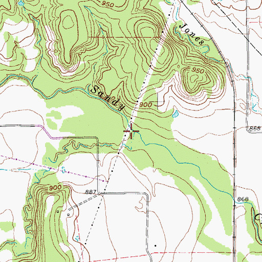 Topographic Map of Cowskin Creek, TX