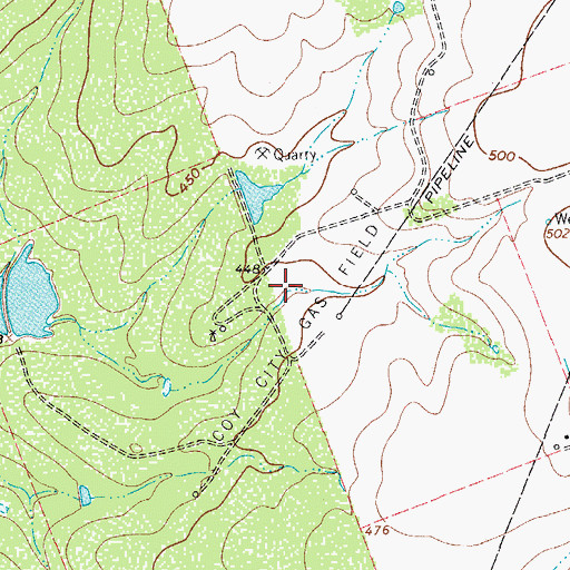 Topographic Map of Coy City Gas Field, TX