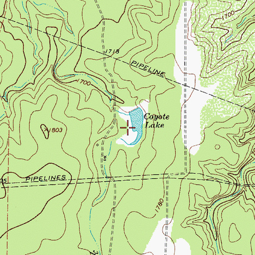 Topographic Map of Coyote Lake, TX