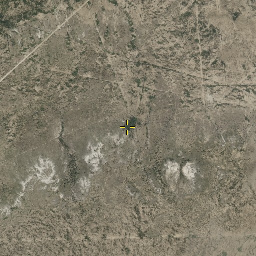 Aerial/Satellite Image of Coyote Spring, TX