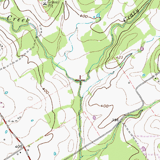 Topographic Map of Crazy Branch, TX