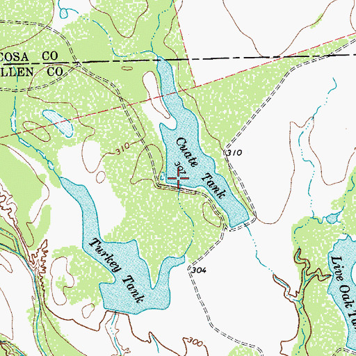 Topographic Map of Cuate Tank, TX