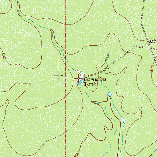 Topographic Map of Cummins Tank, TX
