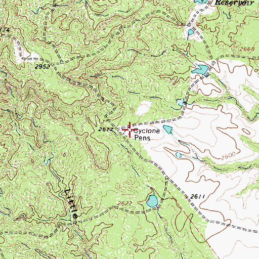 Topographic Map of Cyclone Pens, TX