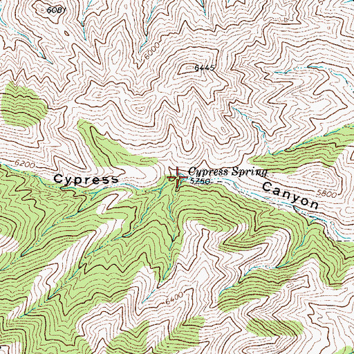 Topographic Map of Cypress Spring, TX