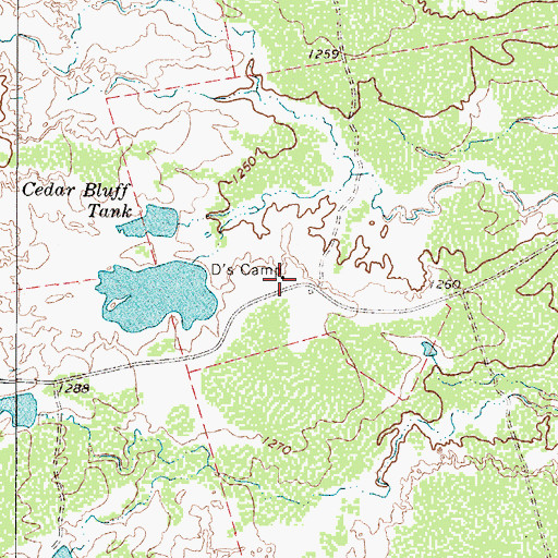 Topographic Map of D's Camp, TX