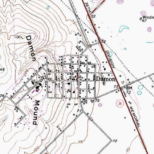 Topographic Map of Damon, TX