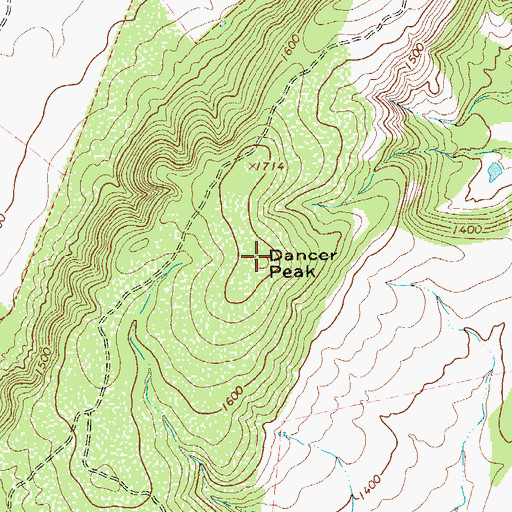 Topographic Map of Dancer Peak, TX