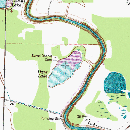 Topographic Map of Dane Lake, TX