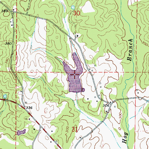 Topographic Map of Lowes Lake, AL