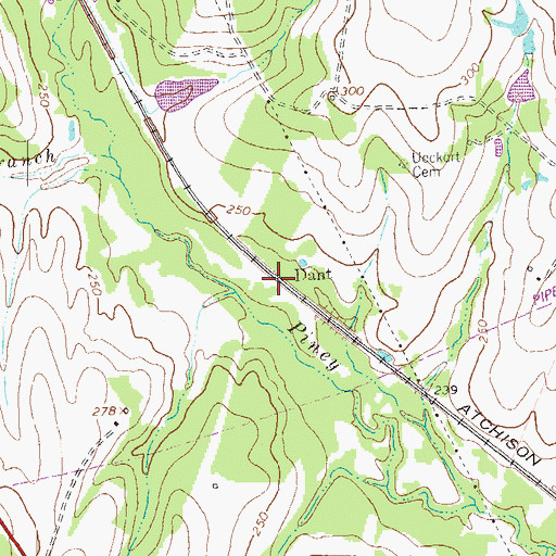 Topographic Map of Dant, TX