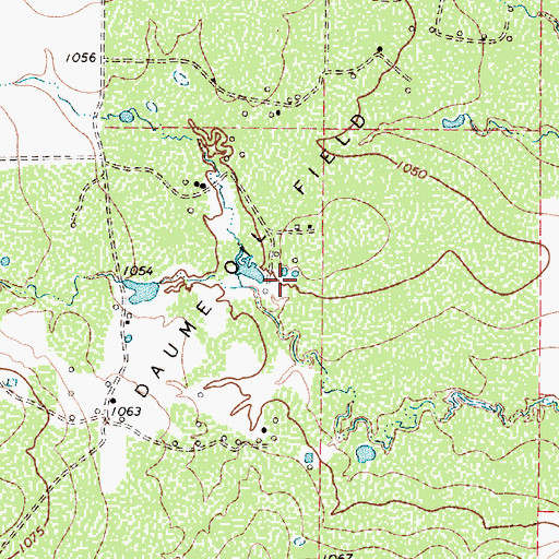 Topographic Map of Daume Oil Field, TX