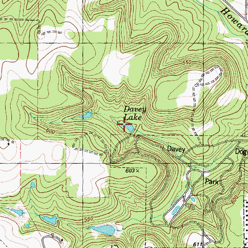 Topographic Map of Davey Lake, TX