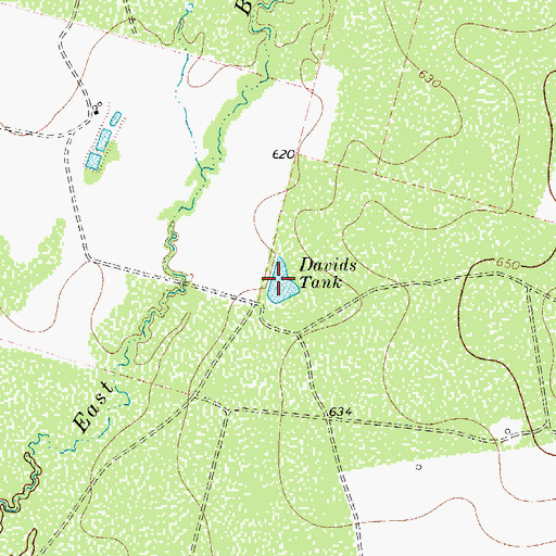 Topographic Map of Davids Tank, TX