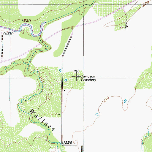 Topographic Map of Davidson Cemetery, TX