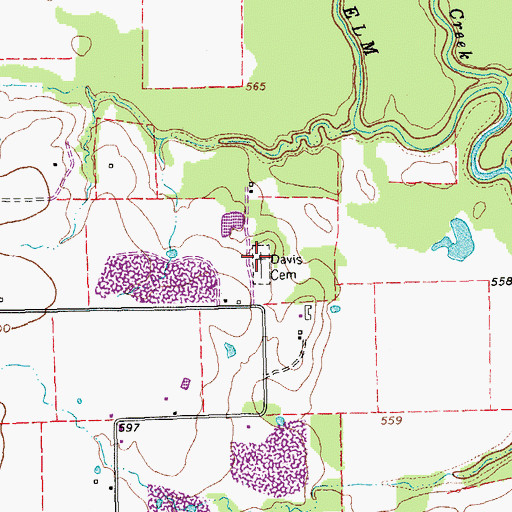 Topographic Map of Davis Cemetery, TX
