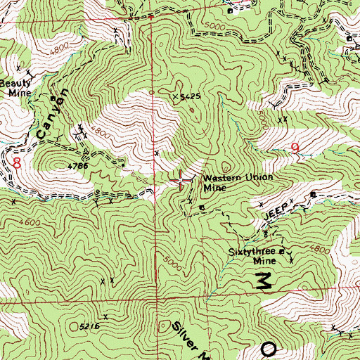 Topographic Map of Western Union Mine, AZ