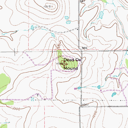Topographic Map of Dead Ox Mound, TX