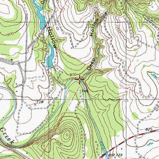 Topographic Map of Deep Hollow, TX