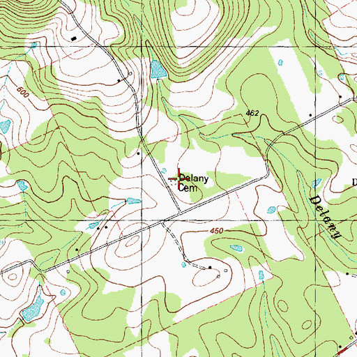 Topographic Map of Delany Cemetery, TX