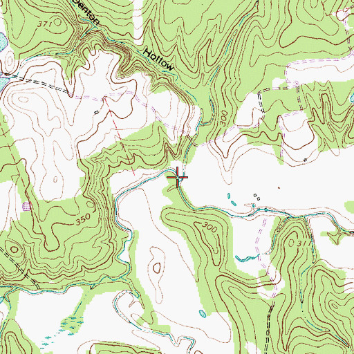 Topographic Map of Denton Hollow, TX