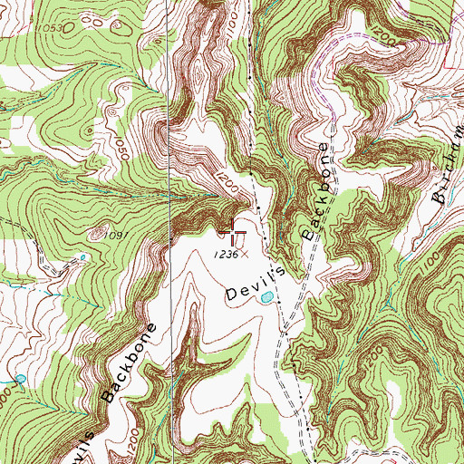 Topographic Map of Devils Backbone, TX