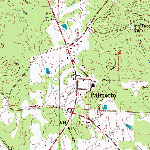 Topographic Map of Palmetto School (historical), AL
