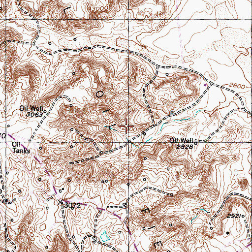 Topographic Map of Dial Oil Field, TX