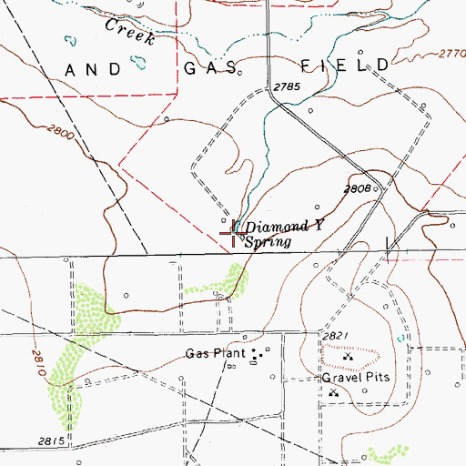 Topographic Map of Diamond Y Spring, TX