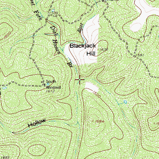 Topographic Map of Dick Hooten Branch, TX