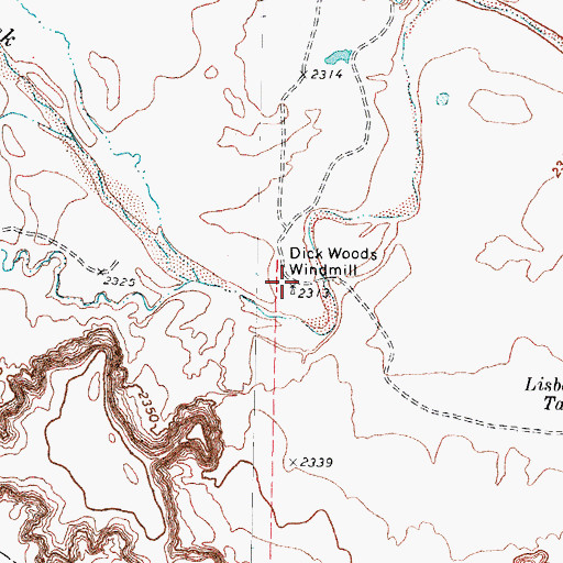 Topographic Map of Dick Woods Windmill, TX