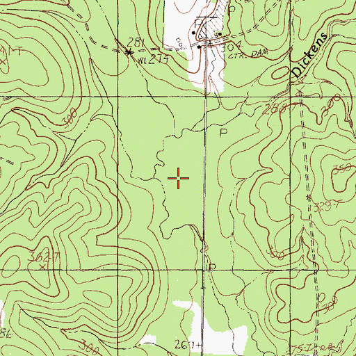 Topographic Map of Dickens Branch, TX