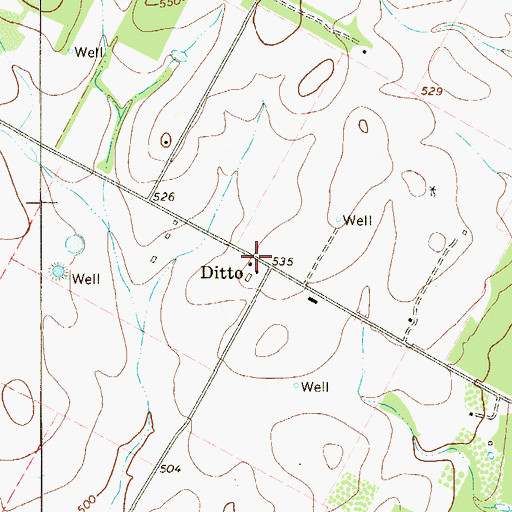 Topographic Map of Ditto, TX