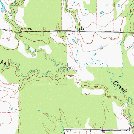 Topographic Map of Dogwood Branch, TX