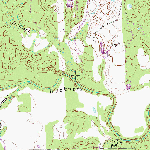 Topographic Map of Dogwood Branch, TX