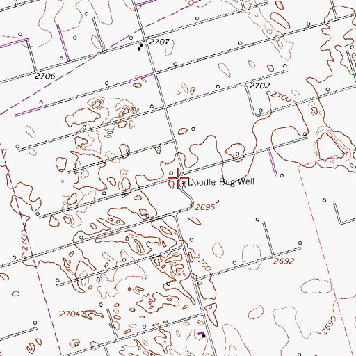 Topographic Map of Doodle Bug Well, TX