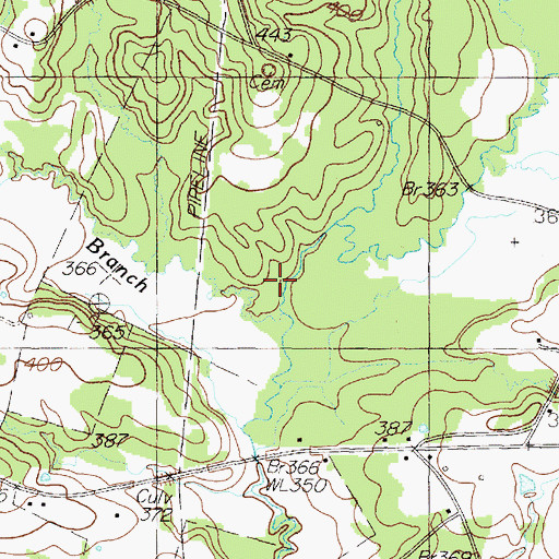 Topographic Map of Double Spring Branch, TX
