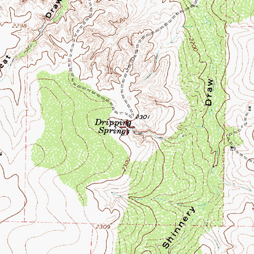 Topographic Map of Dripping Spring, TX