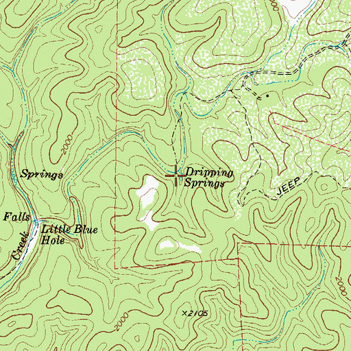 Topographic Map of Dripping Springs, TX