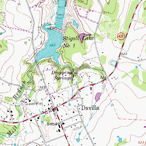 Topographic Map of Dripping Springs, TX