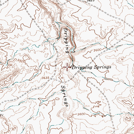 Topographic Map of Dripping Springs, TX