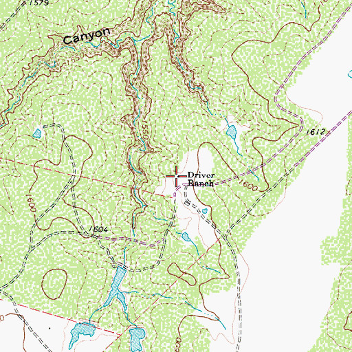 Topographic Map of Driver Ranch, TX