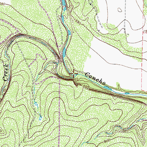 Topographic Map of Duck Creek, TX