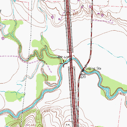 Topographic Map of Duck Creek, TX