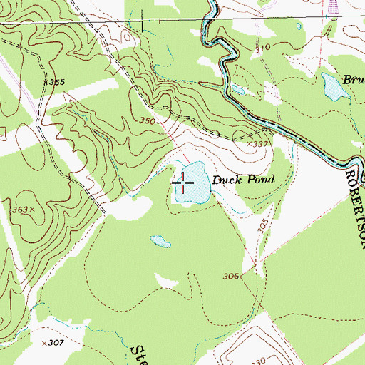 Topographic Map of Duck Pond, TX