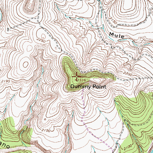 Topographic Map of Dummy Point, TX